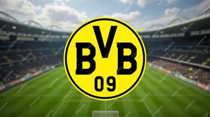dortmund's best players