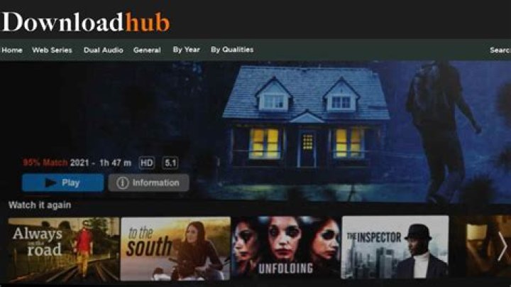 Downloadhub 2022 Download 300 MB Dual Audio Bollywood, and Hindi Movies