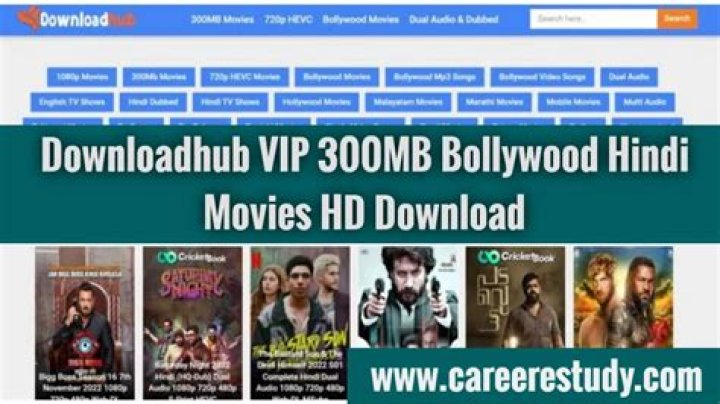 Downloadhub 2023 VIP 300MB Bollywood Hindi Dual Audio Movies Download