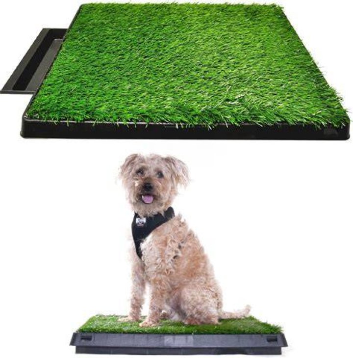 Downtown Pet Supply Pee Turf Portable Dog Potty Trainer
