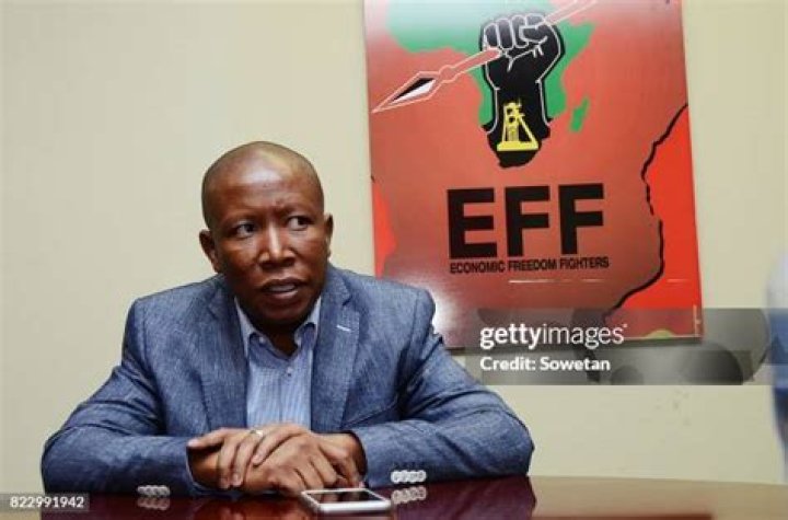 Economic Freedom Fighter's leader Julius Malema called the Springboks a symbol of apartheid