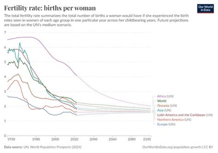 Elon Musk Says Mankind Will End “With All of Us in Adult Diapers” Should Global Birthrates Continue to Decline