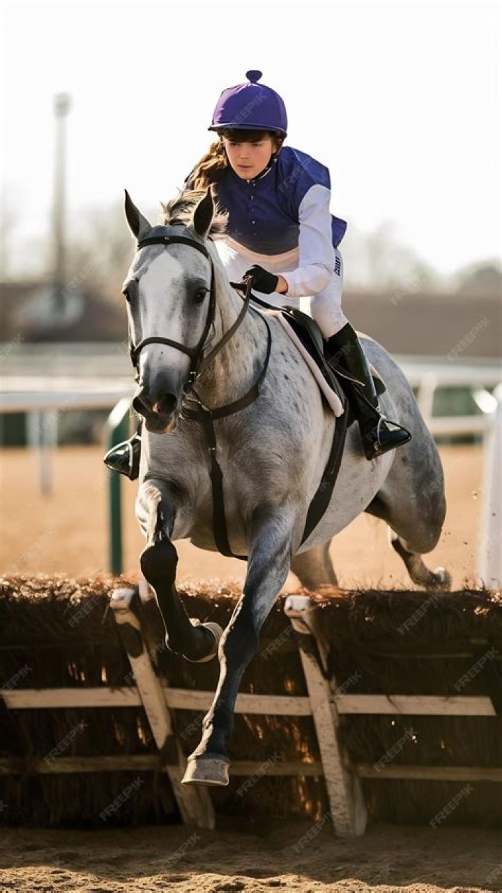 Female jockey on dapple gray horse jumping over hurdle in the open arena