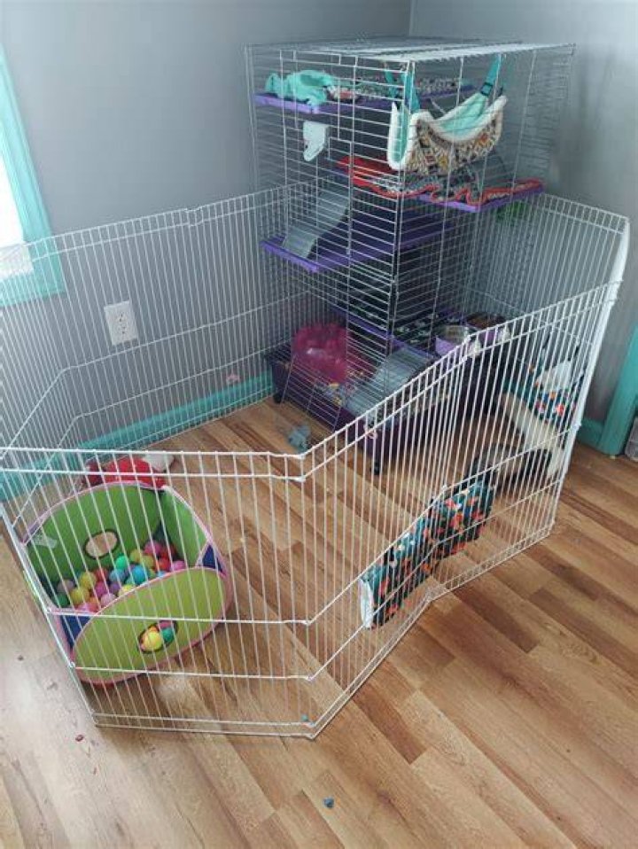 ferret playpen
