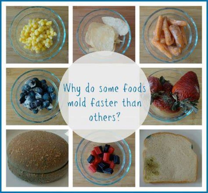 Foods That Mold Quickly, According to a Food Scientist