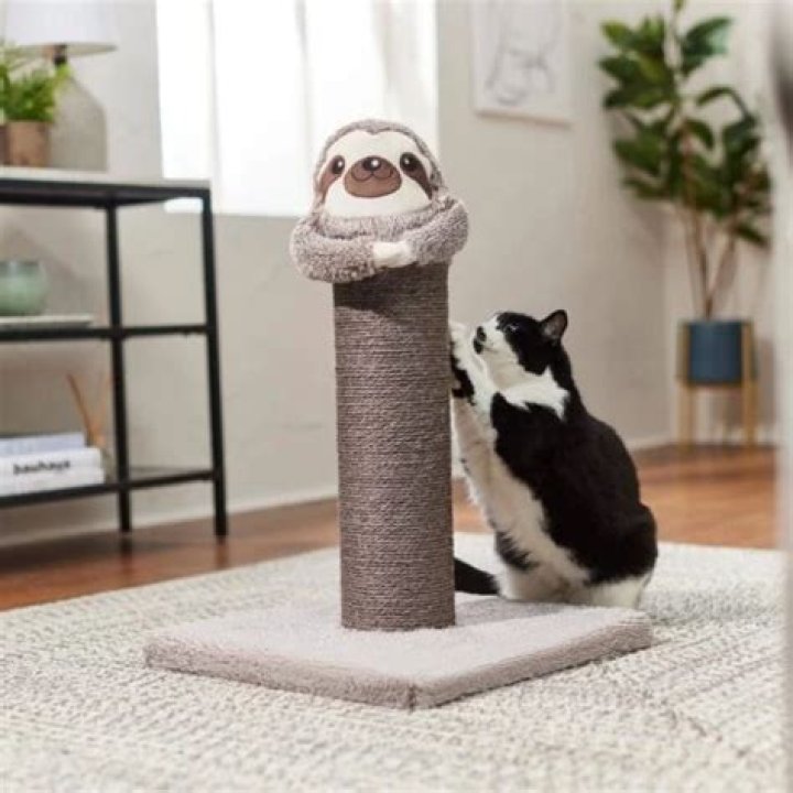 Frisco Animal Series Cat Scratching Post