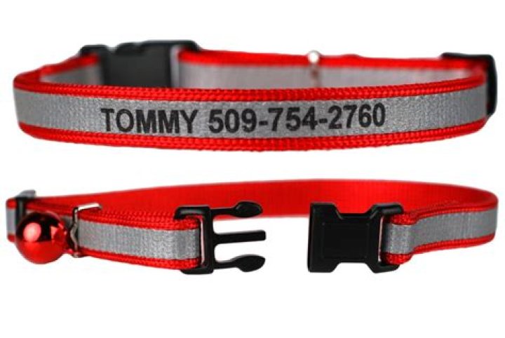 GoTags Personalized Reflective Breakaway Collar