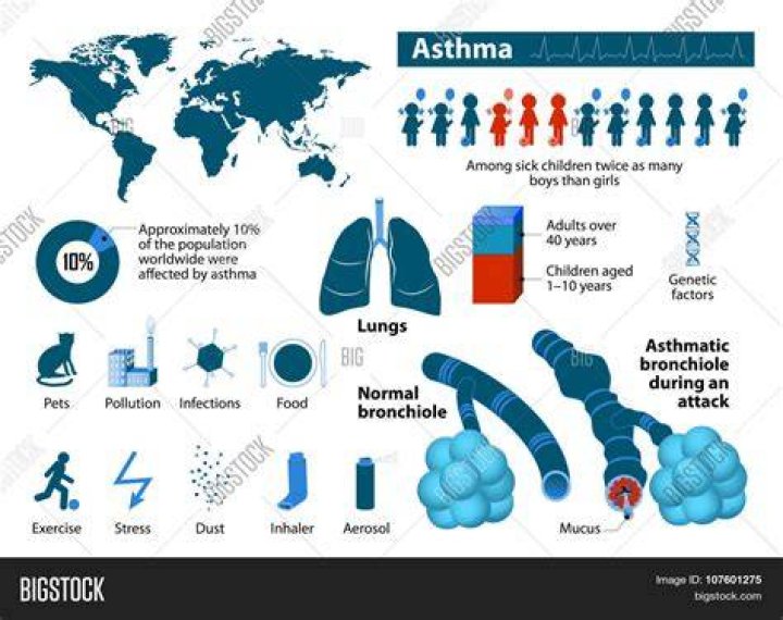 graphic depiction of asthma