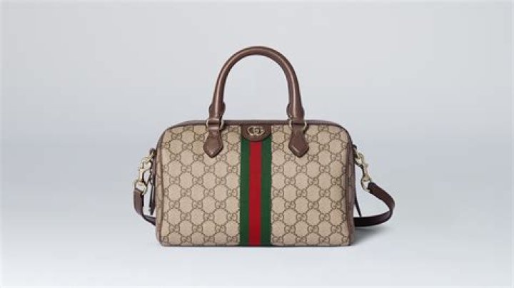 Gucci purse Gucci purse