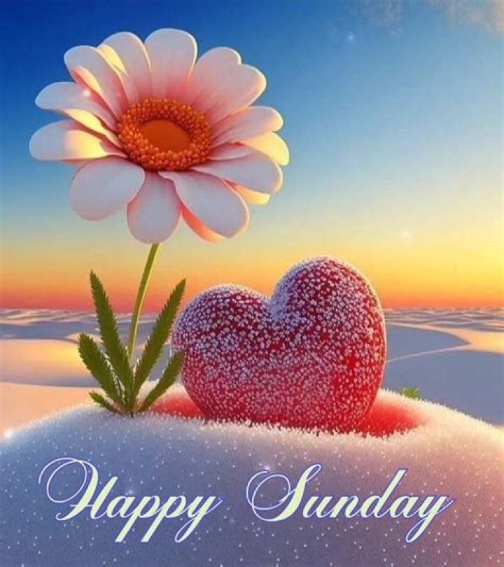 happy Sunday happy Sunday
