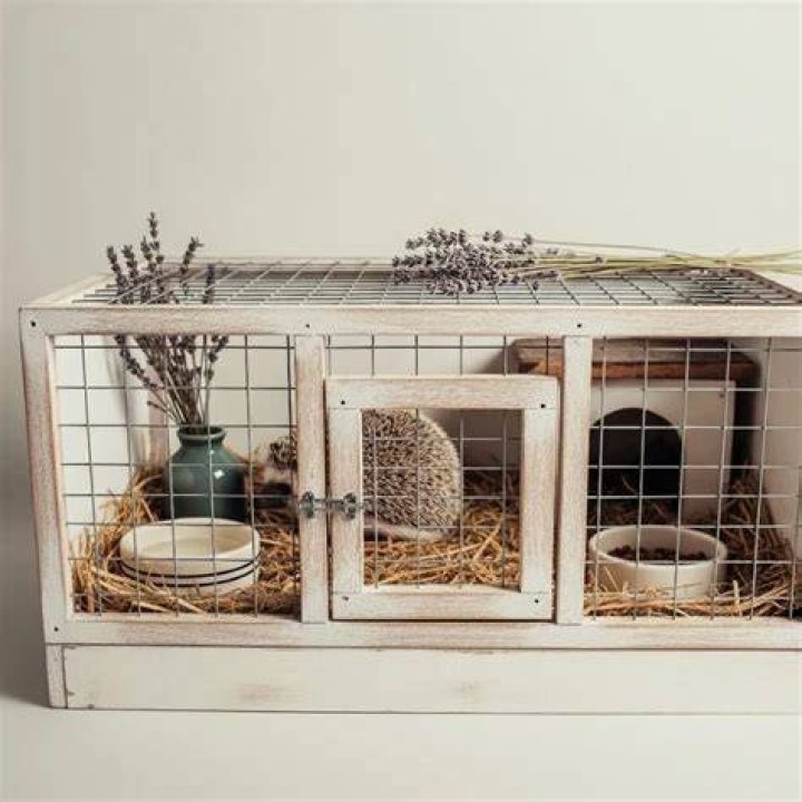 Hedgehog cage and litterbox
