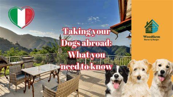 help dogs abroad