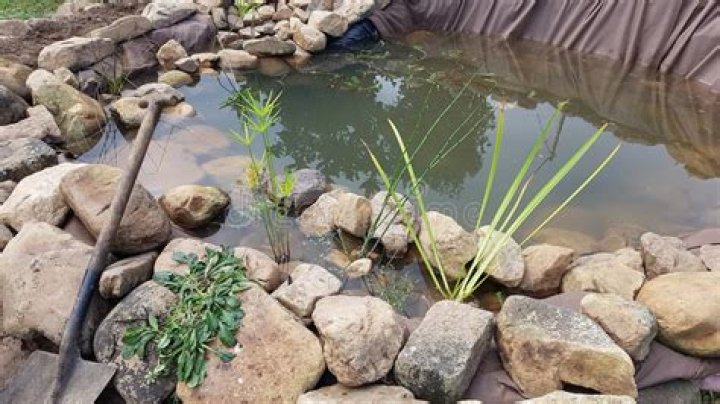 homemade pond rocks how to