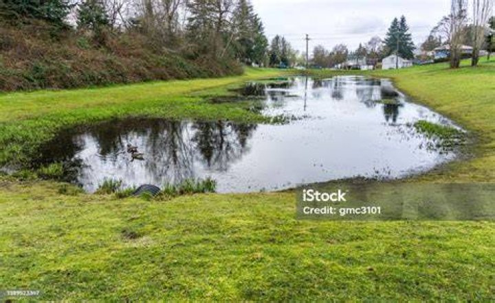 homemade pond water runoff