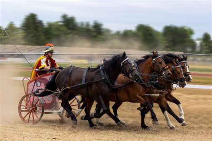 horse race chariot
