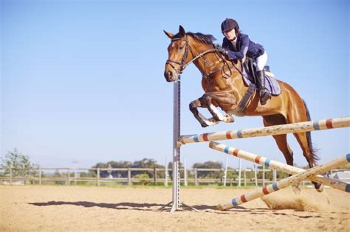 HorseBack Riding Sport