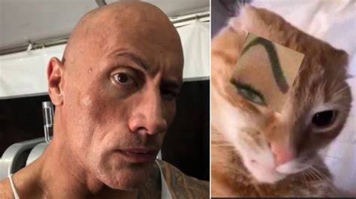 How Did The Rock Raising His Eyebrow A Massive Meme Trend? The