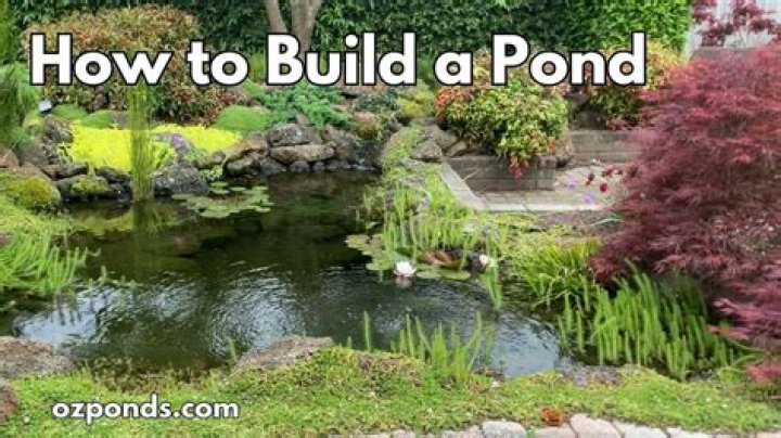 How to Build a Low-Maintenance Pond