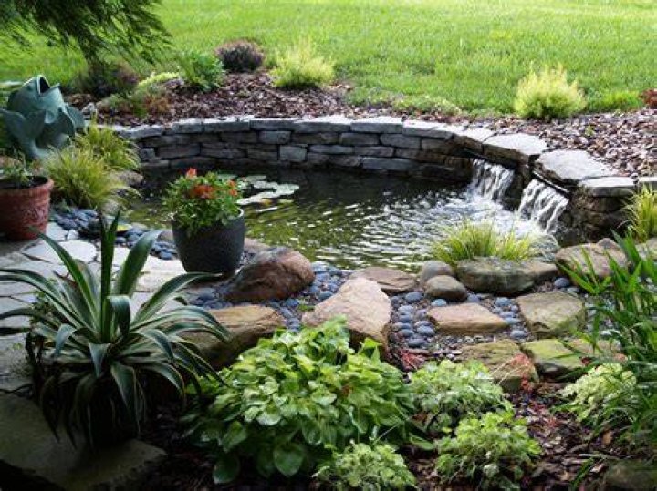 How to build a pond how to make a pond