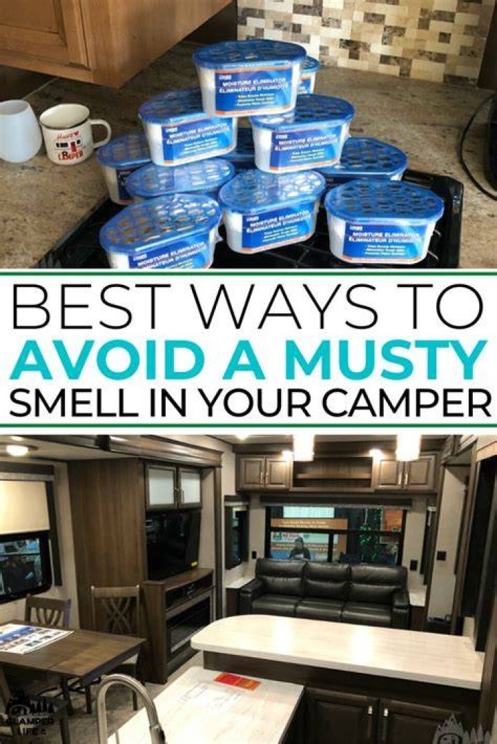 How To Get Mouse Smell Out of a Camper Or RV (5 Ideas & Tips)
