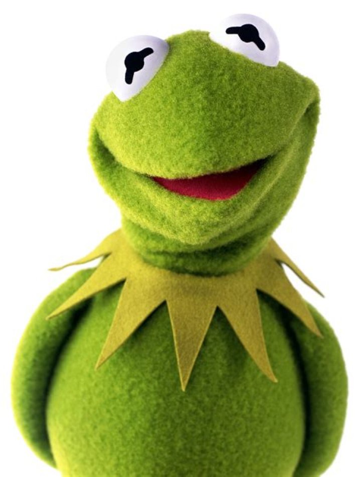 Kermit the Frog as Green in Characters By Color, Sort With Me!