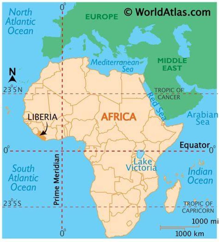 Liberia's national football team: players, coach, world rankings, nickname