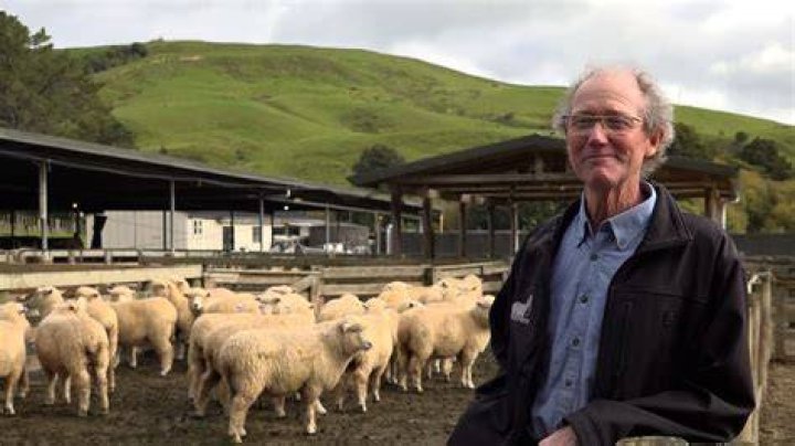 Local Focus: Genetically selected sheep that grow hair not wool