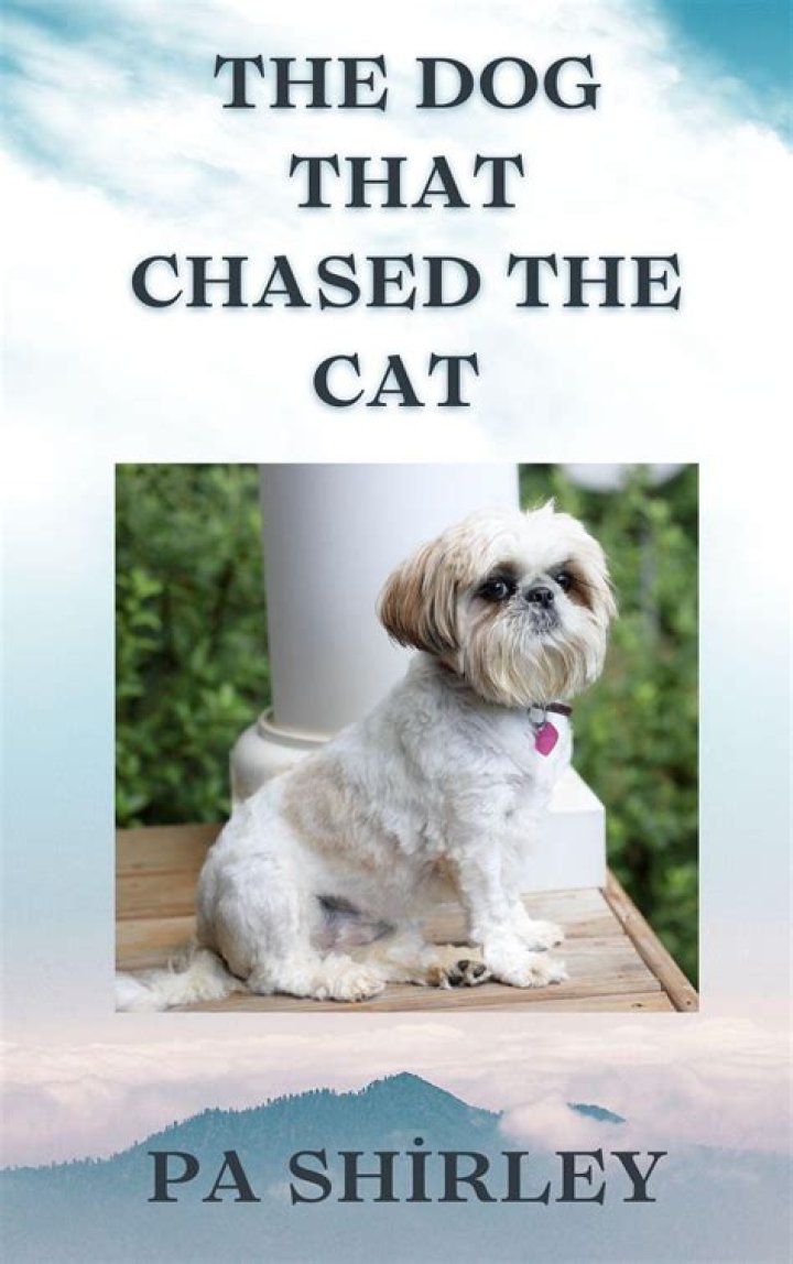 Lovely dog at home/father chased his daughter. Lovely dog at home/father chased his daughter.