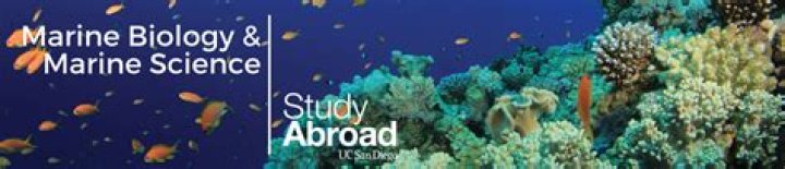 Marine Biology Study Abroad Programs