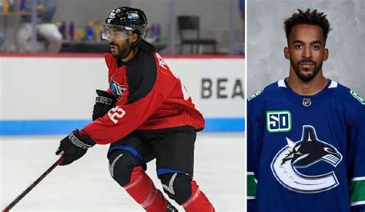 Matt Petgrave playing for the Utica Comets in 2019. Photo / Getty Images