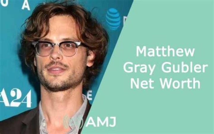 Matthew Gray Gubler net worth