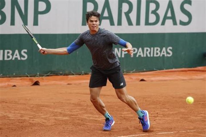 Milos Raonic Picture