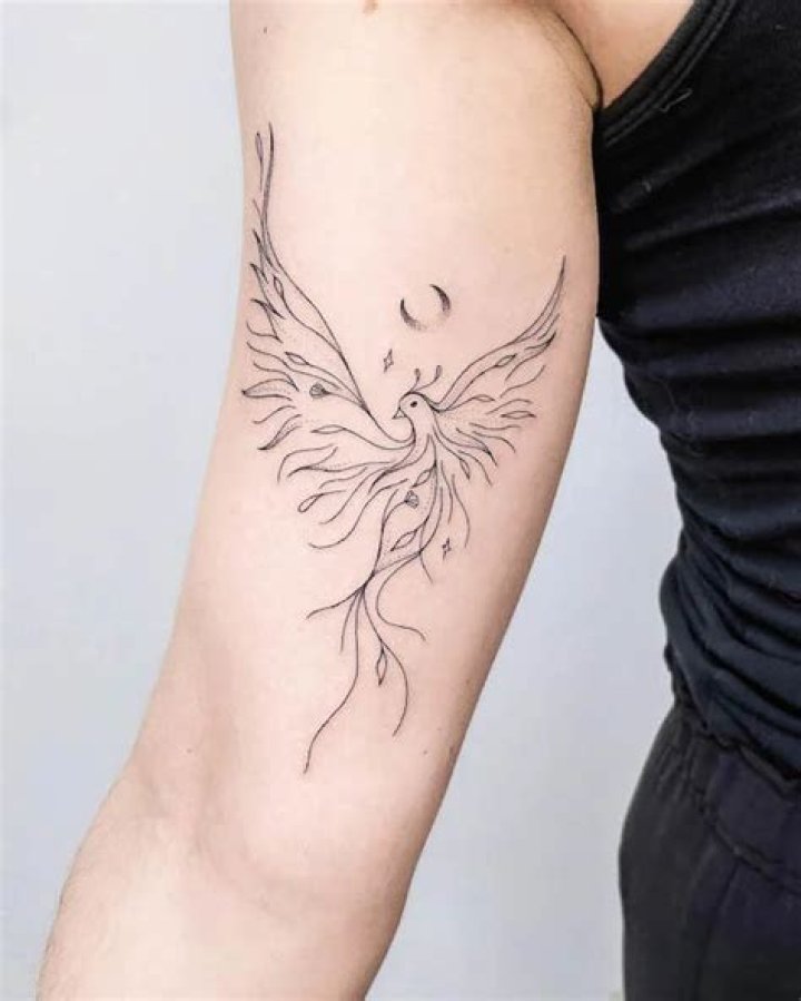 Minimalist phoenix tattoos Minimalist phoenix tattoos