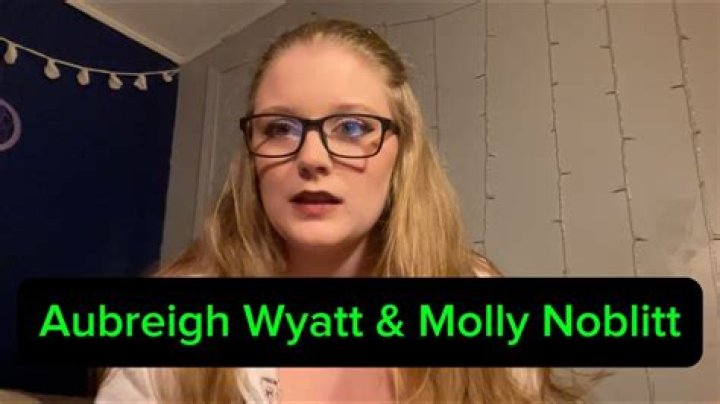 Molly Noblitt Charged Unraveling The Controversy