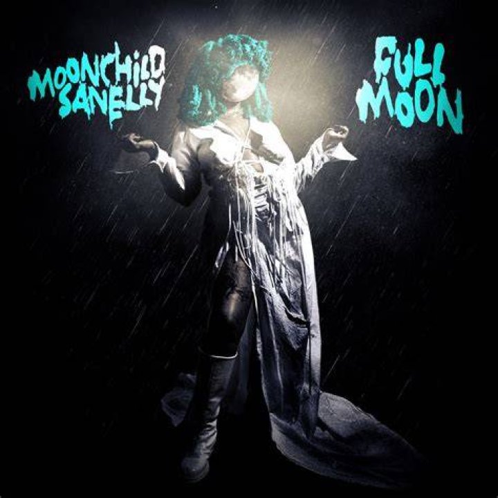 Moonchild Sanelly was dragged online