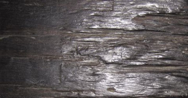 most expensive wood species