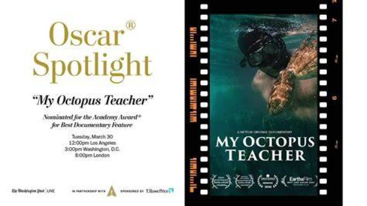 My Octopus Teacher, makes Oscar shortlist My Octopus Teacher, makes Oscar shortlist
