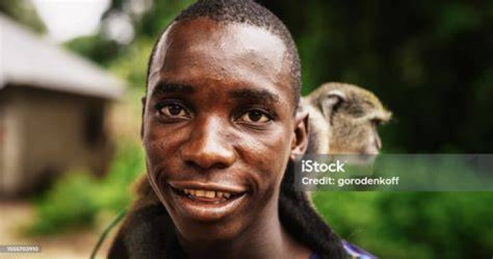 People looking at a monkey