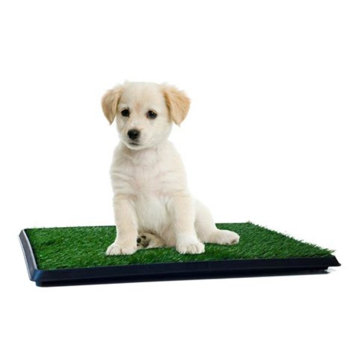 Pet Adobe Puppy Faux Grass Potty Trainer Mat