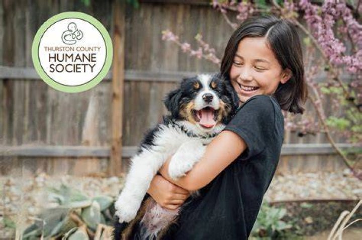 pet adoption