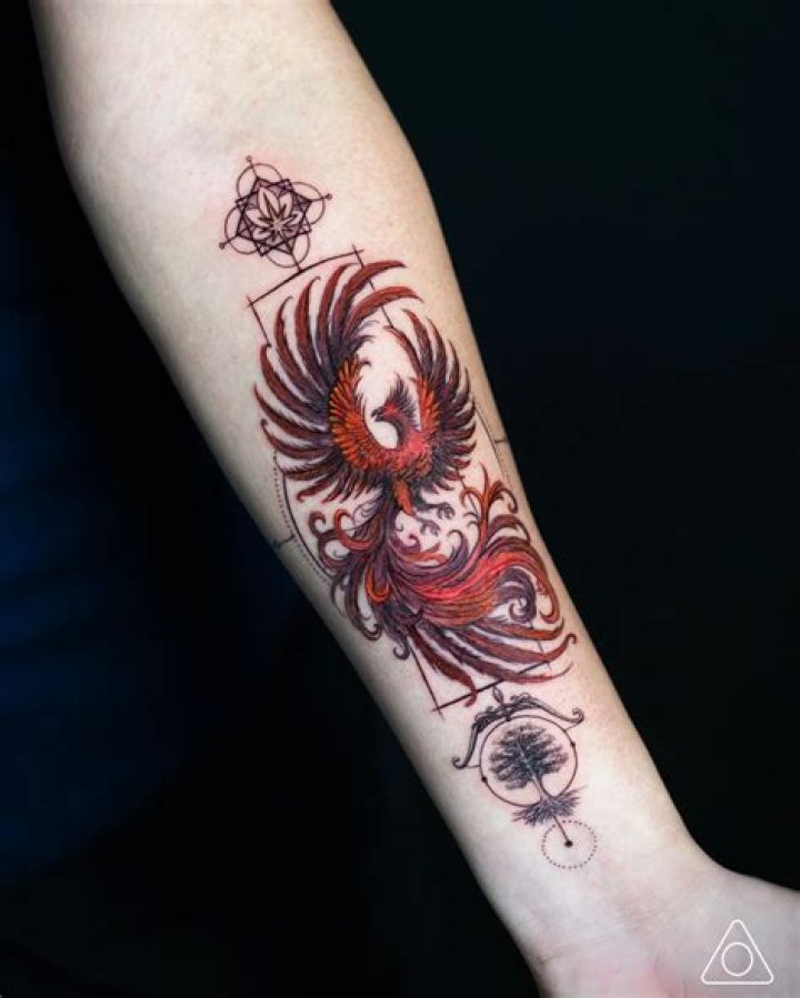 Phoenix anke tattoo Phoenix anke tattoo