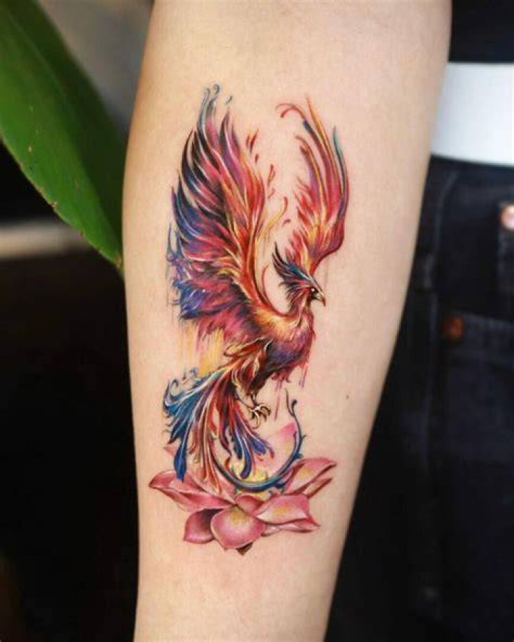 Phoenix bird tattoo Phoenix bird tattoo