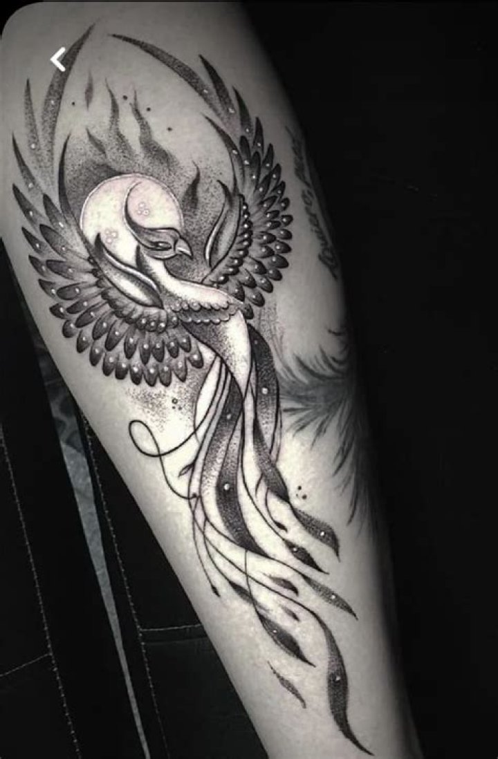 Phoenix side tattoos Phoenix side tattoos