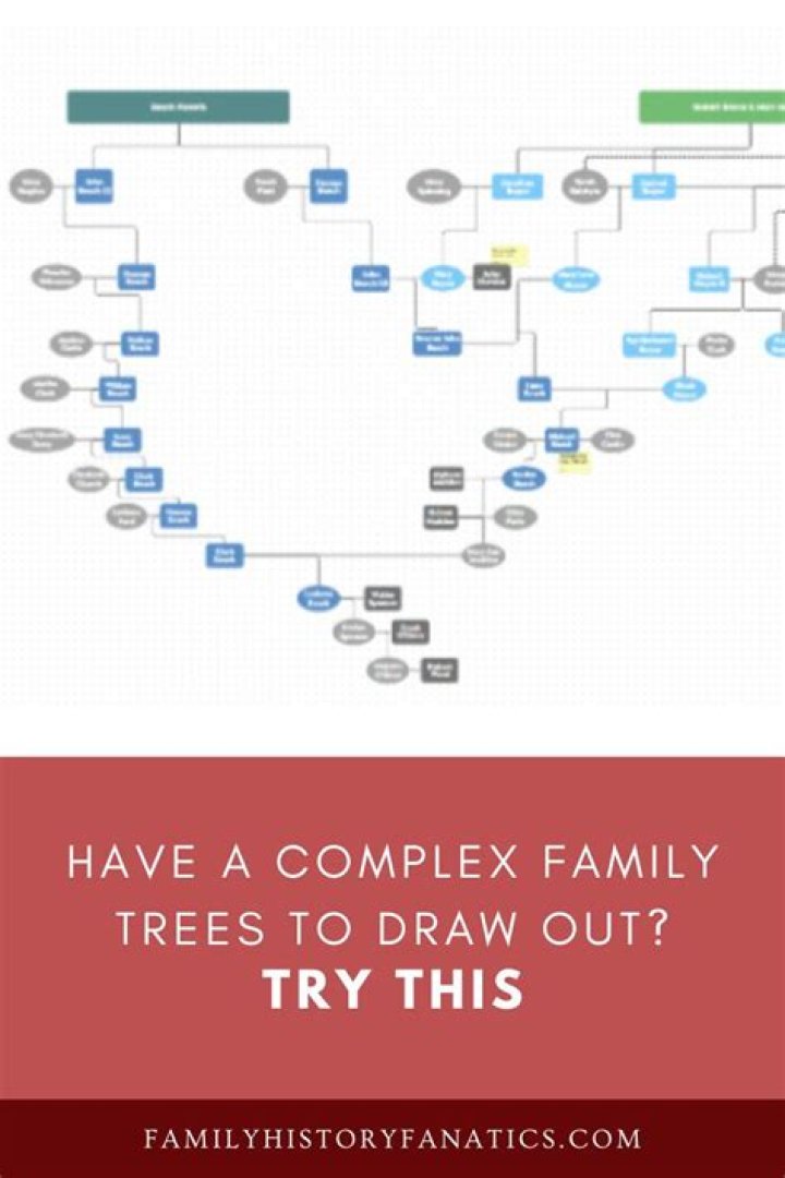 Photos from Elon Musk's Complicated Family Tree