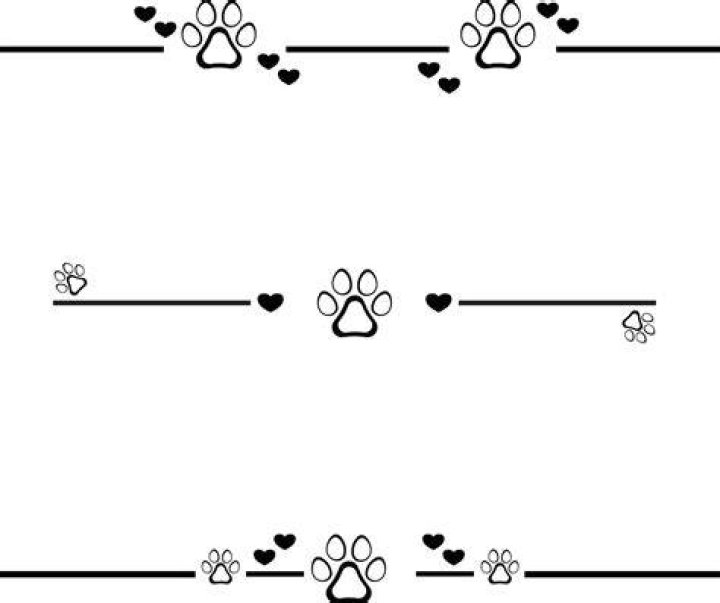 PK paw divider