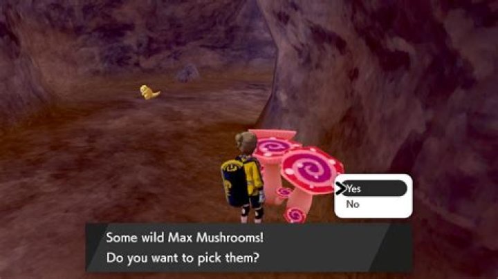 Pokemon Sword & Shield: how to get Max Mushrooms to make Max Soup on the Isle of Armor