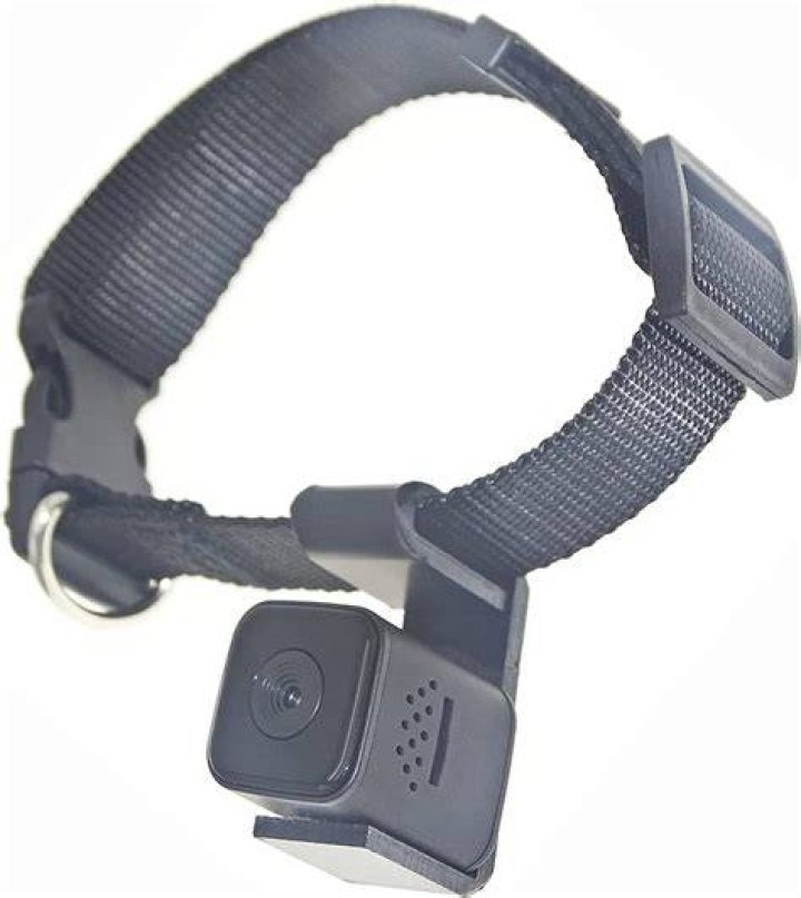 Puhui Digital Pet Collar Cam Camera