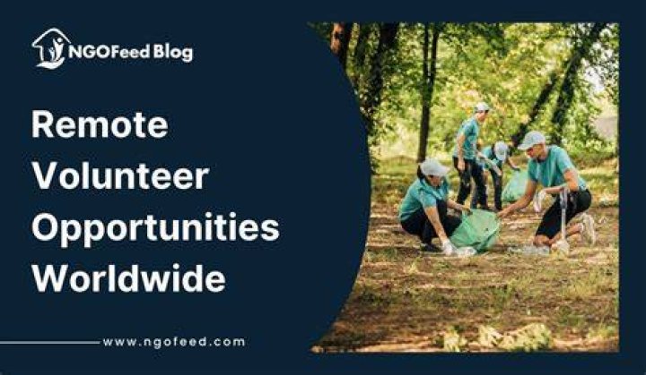 remote volunteer opportunities