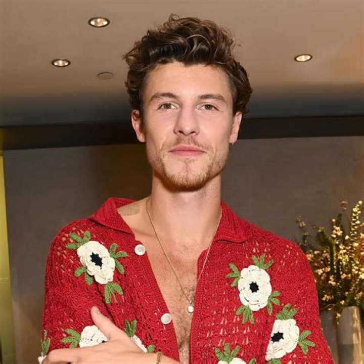 Shawn Mendes Announces Return to Stage After Focusing on Mental Health