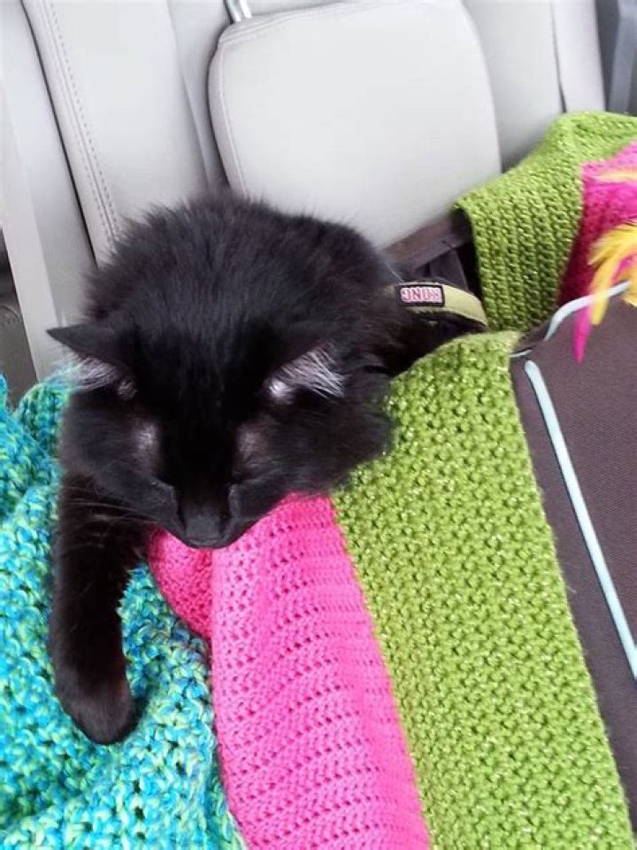 Sleeping on the drive